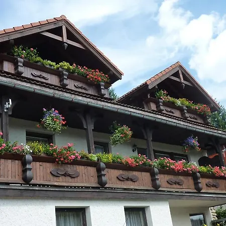 Pensjonat Pretty Harrachov